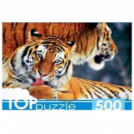 Пазл картонный 500 элементов АССОРТИ, 14 дизайнов, 330х480 мм, HATBER