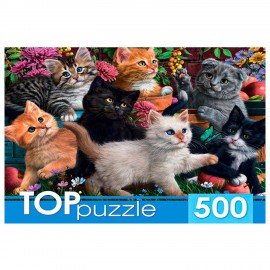 Пазл картонный 500 элементов АССОРТИ, 14 дизайнов, 330х480 мм, HATBER