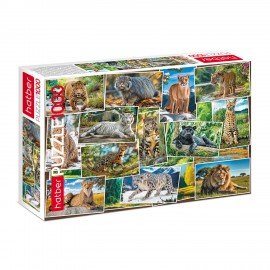 Пазл картонный 1000 элементов АССОРТИ, 10 дизайнов, 480х680 мм, HATBER