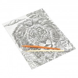 Гравюра, 18х24 см, АССОРТИ, МУЛЬТИ АРТ