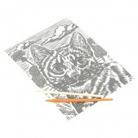 Гравюра, 18х24 см, АССОРТИ, МУЛЬТИ АРТ