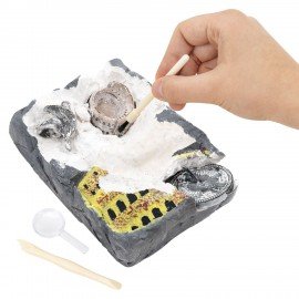 Набор для раскопок "Древний Рим" 16х23 см, инструменты, BRAUBERG KIDS, 665937