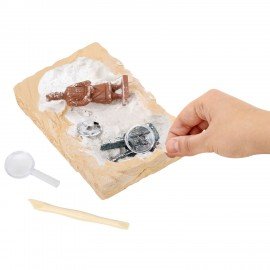 Набор для раскопок "Древний Китай" 16х23 см, инструменты, BRAUBERG KIDS, код 1с, 665939