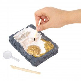 Набор для раскопок "Древняя Греция" 16х23 см, инструменты, BRAUBERG KIDS, 665941