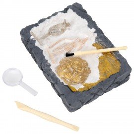 Набор для раскопок "Древняя Греция" 16х23 см, инструменты, BRAUBERG KIDS, 665941