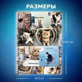 Стикербук ПРОСТО НАКЛЕЙ А6 16 листов 96 цветных стикеров, на гребне, BRAUBERG, Коты мемы, 666050