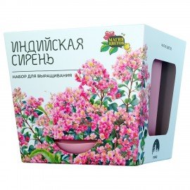 Набор для выращивания растений МАГИЯ ЦВЕТОВ, "Индийская сирень", (горшок, грунт, семе, mf-020