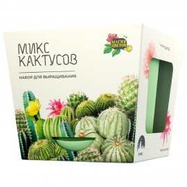 Набор для выращивания растений МАГИЯ ЦВЕТОВ, "Кактусы микс", (горшок, грунт, семена),, mf-003