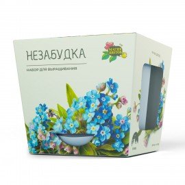 Набор для выращивания растений МАГИЯ ЦВЕТОВ, "Живые камни Литопсы", (горшок, грунт, с, mf-004