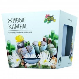 Набор для выращивания растений МАГИЯ ЦВЕТОВ, "Живые камни Литопсы", (горшок, грунт, с, mf-004