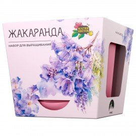 Набор для выращ. растений ТЫСЯЧА ЛИСТЬЕВ"Жакаранда (фиалковое дерево)"(горшок, грунт,, tl-003