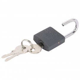 Замок навесной чугунный "Стандарт", ширина 25 мм, английский, 2 ключа, ГРАНДМАСТЕР, 671289