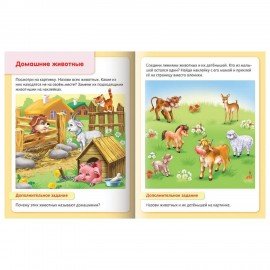 Книжки с наклейками "Тесты и задания", КОМПЛЕКТ 10 шт., А5, 16 стр., HATBER