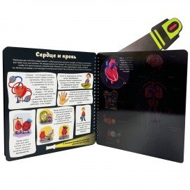 Книжка с фонариком "Познаю мир", 210х230 мм, 12 стр, АССОРТИ, Бимбимон