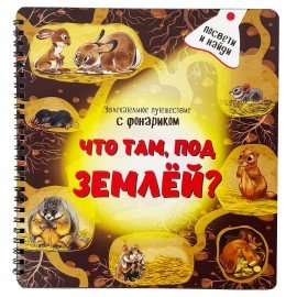 Книжка с фонариком "Познаю мир", 210х230 мм, 12 стр, АССОРТИ, Бимбимон