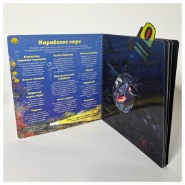 Книжка с фонариком "Познаю мир", 210х230 мм, 12 стр, АССОРТИ, Бимбимон