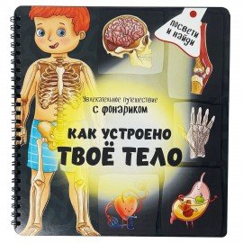 Книжка с фонариком "Познаю мир", 210х230 мм, 12 стр, АССОРТИ, Бимбимон