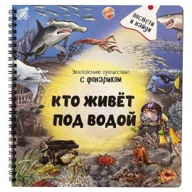 Книжка с фонариком "Познаю мир", 210х230 мм, 12 стр, АССОРТИ, Бимбимон