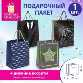 Пакет подарочный (1 штука) 26х13х32см (L) "Man Style", ассорти, фольга, выборочный лак, ЗОЛОТАЯ СКАЗКА, 700813