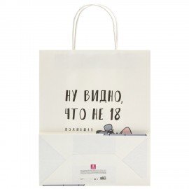 Пакет подарочный (1 штука) 26х13х32см (L) "Woman Funny Notes", ассорти, крафт, ЗОЛОТАЯ СКАЗКА, 700822