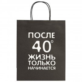 Пакет подарочный (1 штука) 26х13х32см (L) "Man Funny Notes", ассорти, крафт, ЗОЛОТАЯ СКАЗКА, 700823