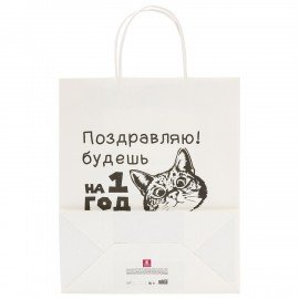 Пакет подарочный (1 штука) 26х13х32см (L) "Funny Notes", ассорти, крафт, ЗОЛОТАЯ СКАЗ, 700824