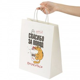Пакет подарочный (1 штука) 26х13х32см (L) "Funny Notes", ассорти, крафт, ЗОЛОТАЯ СКАЗ, 700824