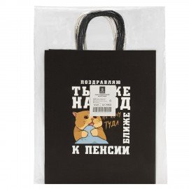 Пакет подарочный (1 штука) 26х13х32см (L) "Funny Notes", ассорти, крафт, ЗОЛОТАЯ СКАЗ, 700824