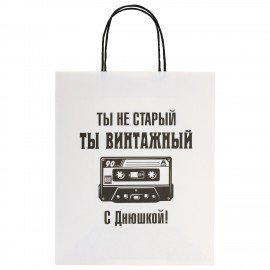 Пакет подарочный (1 штука) 26х13х32см (L) "Funny Notes", ассорти, крафт, ЗОЛОТАЯ СКАЗ, 700824