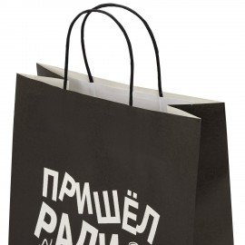 Пакет подарочный (1 штука) 26х13х32см (L) "Пришел ради вискаря!", крафт, ЗОЛОТАЯ СКАЗКА, 700842