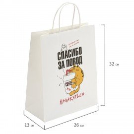 Пакет подарочный (1 штука) 26х13х32см (L) "Повод налакаться", крафт, ЗОЛОТАЯ СКАЗКА, 700846