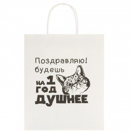 Пакет подарочный (1 штука) 26х13х32см (L) "На год душнее", крафт, ЗОЛОТАЯ СКАЗКА, 700855