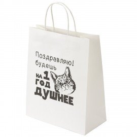 Пакет подарочный (1 штука) 26х13х32см (L) "На год душнее", крафт, ЗОЛОТАЯ СКАЗКА, 700855