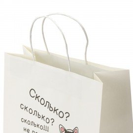 Пакет подарочный (1 штука) 26х13х32см (L) "Сколько?", крафт, ЗОЛОТАЯ СКАЗКА, 700856