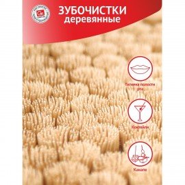 Зубочистки деревянные КОМПЛЕКТ 200 шт, в диспенсере, GRIFON, ШК0031, 400-003