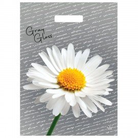 Пакет с вырубной ручкой ПВД, 43х31,5см, "Грэй Глосс Ромашка", 50мкм, ШК1701, н00269304