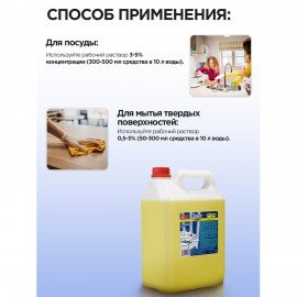 Средство для мытья посуды 5л ЗОЛУШКА, концентрат, "Лимон", ш/к 10360, М-04-1к