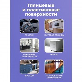 Универсальный пенный очиститель 280г BRANDFREE для пластика стёкол и различных поверх
