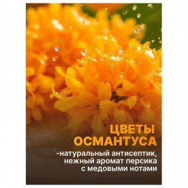 Средство для мытья посуды 450мл AOS "Османтус", ш/к 09432, 1746-3