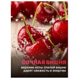 Средство для мытья посуды 450мл AOS "Сочная вишня", ш/к 15245, 1751-3