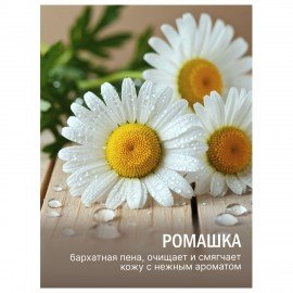 Мыло-крем туалетное 90г ЛЕСНАЯ ПОЛЯНКА "Ромашка", натуральная основа, ш/к 94899, 1100-2