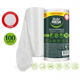 Универсальные полотенца в рулоне 100 шт., 21х25 см, 70% вискозы (спанлейс), Master FR
