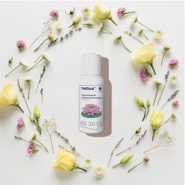 Сменный баллон 100мл Tellus/TORK (Система АF1) СТАНДАРТ, цветочный аромат, 611602