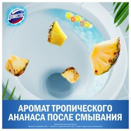 Блок туалетный подвесной твердый 2х50г+3х50г ДОМЕСТОС "Свежесть цитруса и Цветочный б