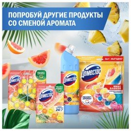 Блок туалетный подвесной твердый 2х50г+3х50г ДОМЕСТОС "Свежесть цитруса и Цветочный б