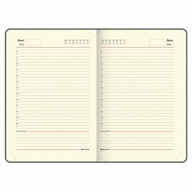 Ручка шариковая Parker "Urban Twist Black GT", ежедневник А5 черный, пакет, 880898