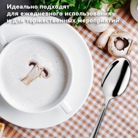 Ложки столовые STANDARD КОМПЛЕКТ 6 шт, полированная нерж. сталь, серебристые, ПАКЕТ, 881143, 609077